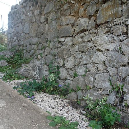 Guesthouse Near The Castle Of 希马拉 外观 照片